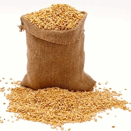 Barley Grains Premium Barley Seeds/Animal feed barley/bulk barley grains Best Price Barley grain for sale