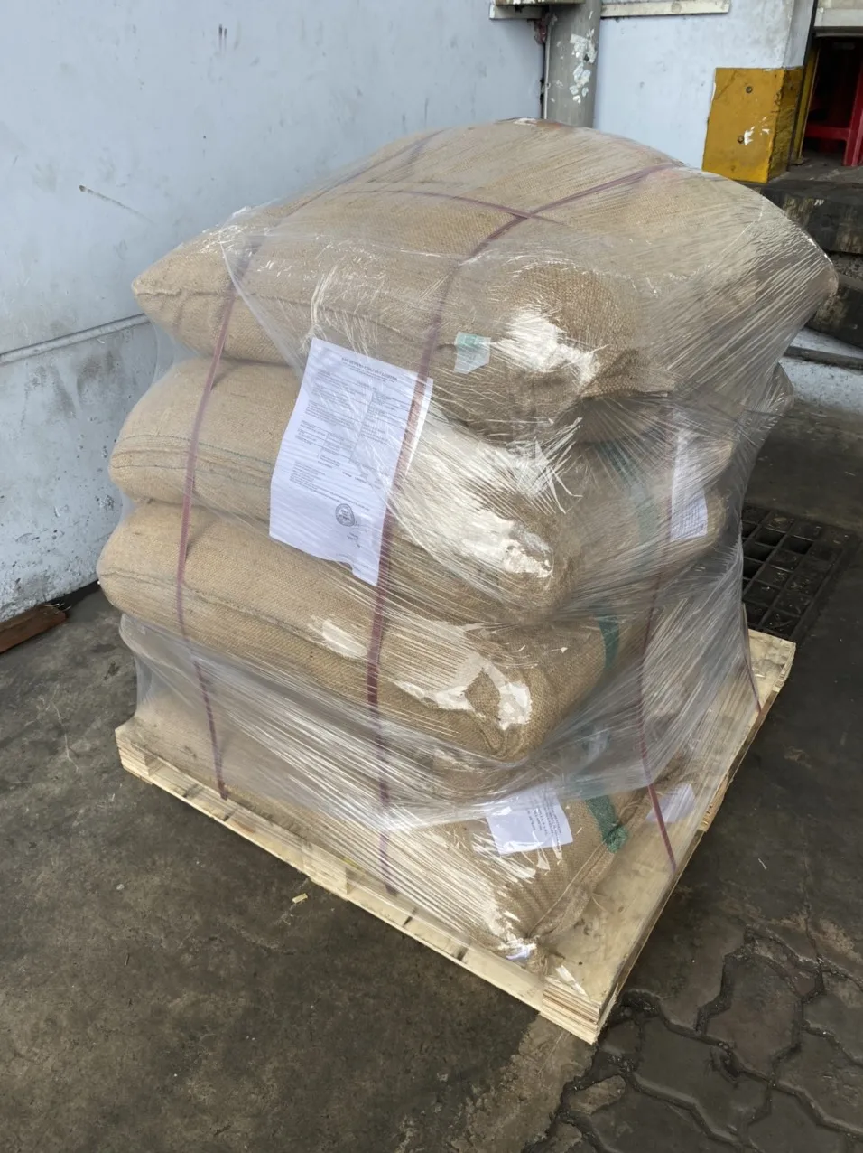 First Grade Green Arabica Cau Dat Coffee Beans In Jute Bag 60kg, Factory Price, New Crop