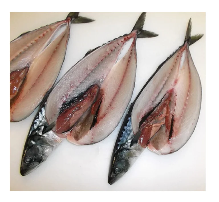 Wholesale Cheap Price Best Quality Atlantic Mackerel fish For Sale Worldwide Exports