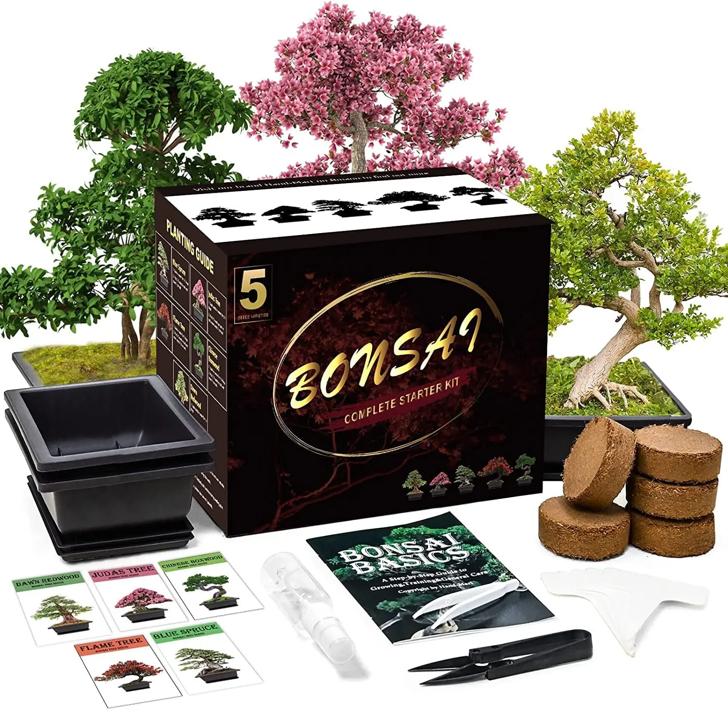 Bonsai Tree Kit with Complete Plant Growing Tools Grow in Pot Indoor Bonsai Tree Starter Kit Home Gardening DIY Gift for Adult