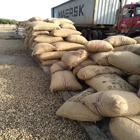 Organic W240 Cashew Nut Best Quality Cashew Nuts International Exporter