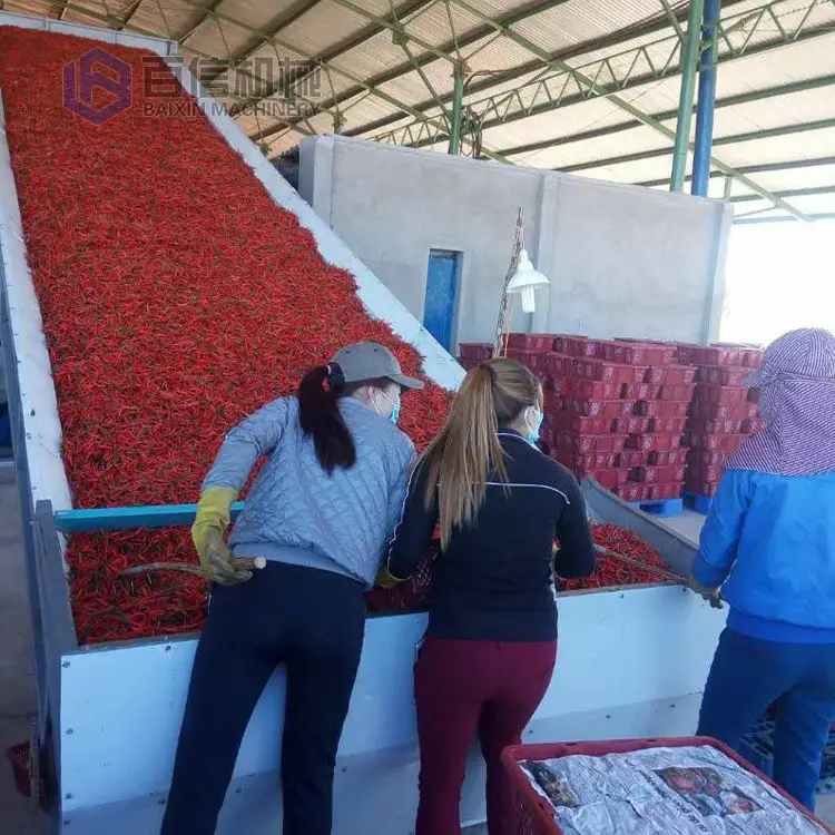 Vegetable Lettuce Dryer Gas / Electric Tea Leaf Alfalfa Seaweed Mint Drying Machine Drying Equipment