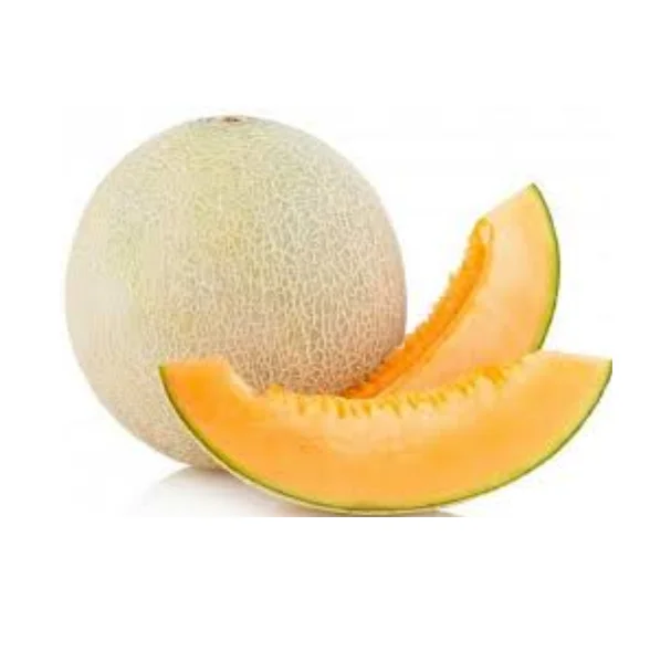 Оптовый поставщик натурального качества свежие фрукты мелоны большое количество готовые к экспорту