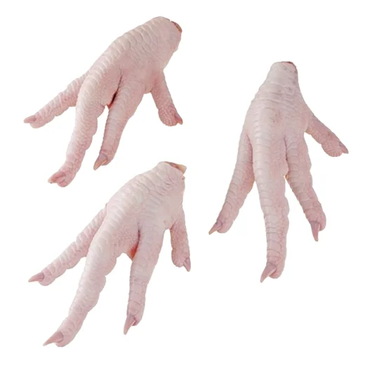Frozen Chicken Paws at Wholesale Price - Direct from Factory