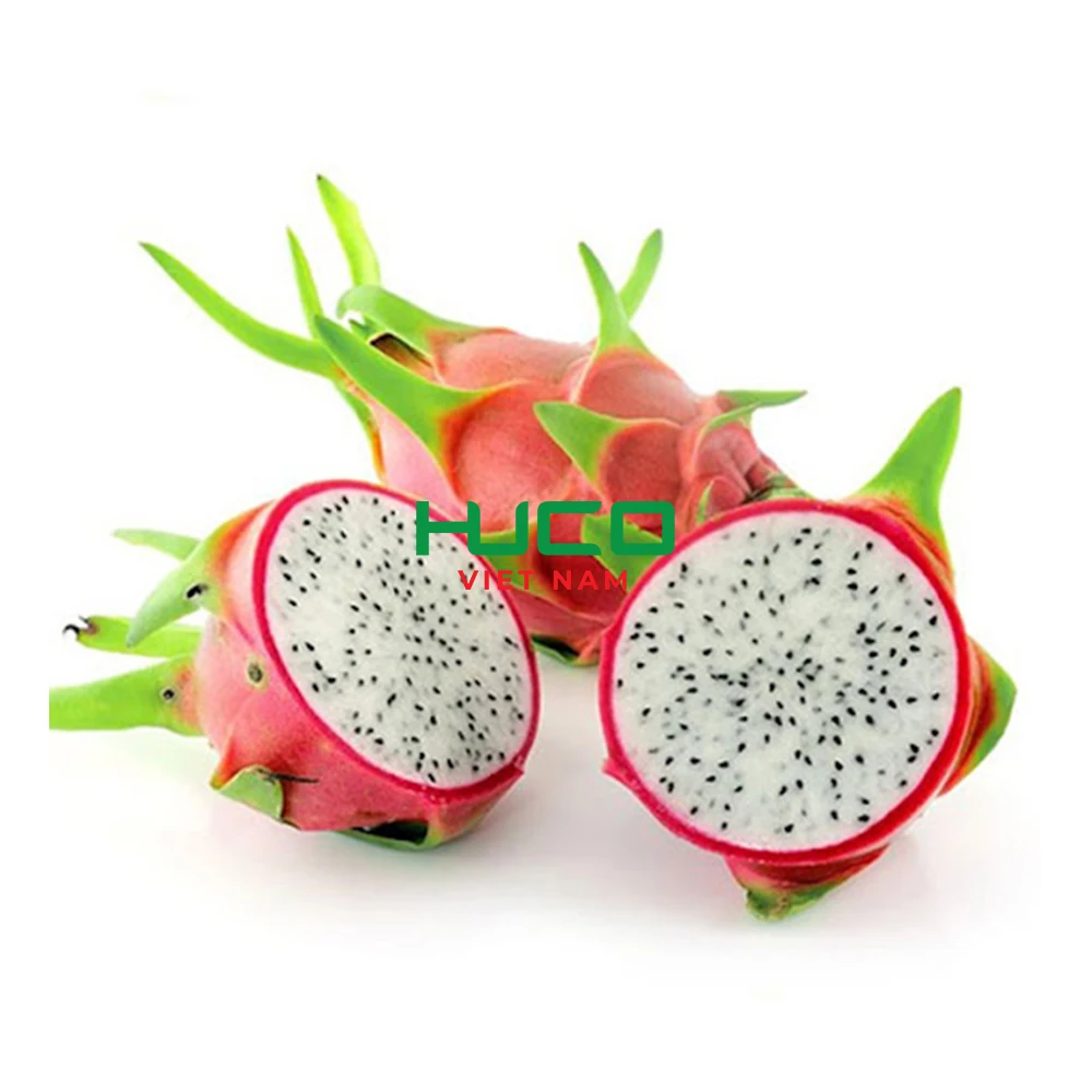 New Crop Fresh Fruit From Viet Nam Premium Quality Red Flesh Dragon Fruit 100% Organic Fresh Fruit