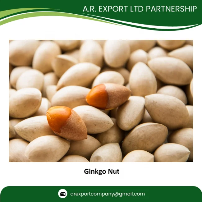 Best Grade Quality Ginkgo Nuts in Thailand from Premium Ginkgo Nuts Exporter