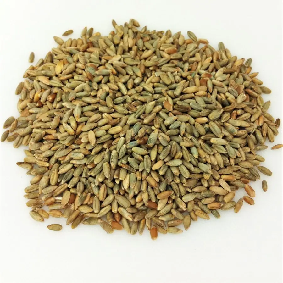 rye flakes bran high grade,Winter Rye for sale widely selling organic natural rye grain available for sale