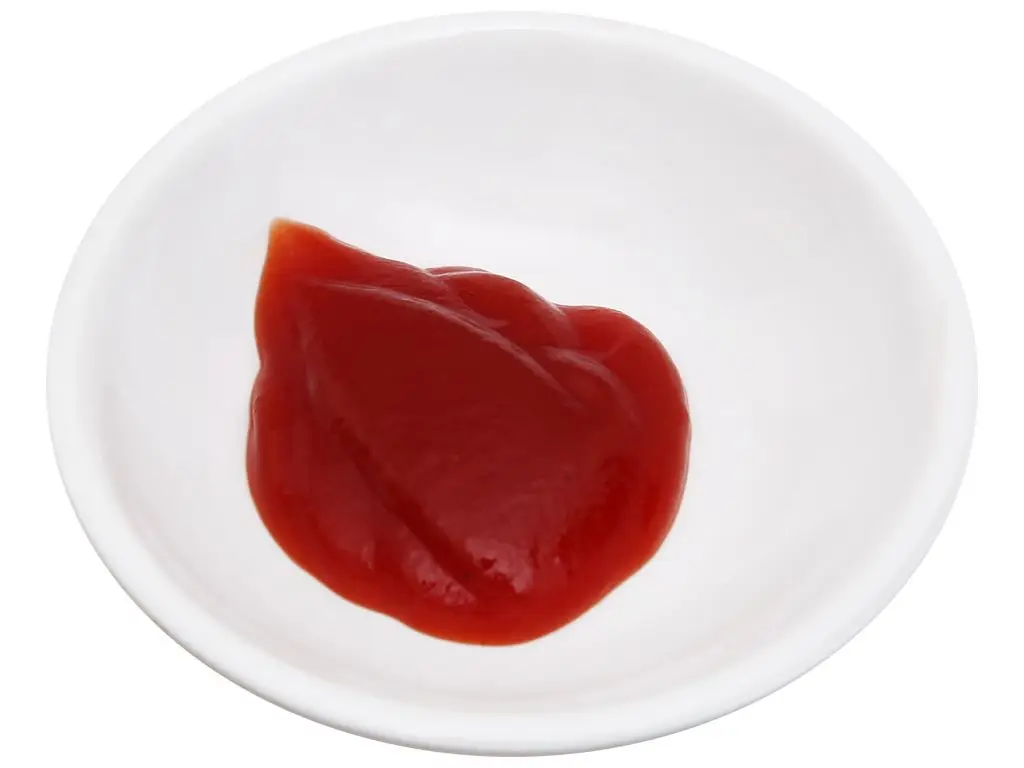 Hot sale Top notch quality tasty flavor OEM Ketchup 2l can