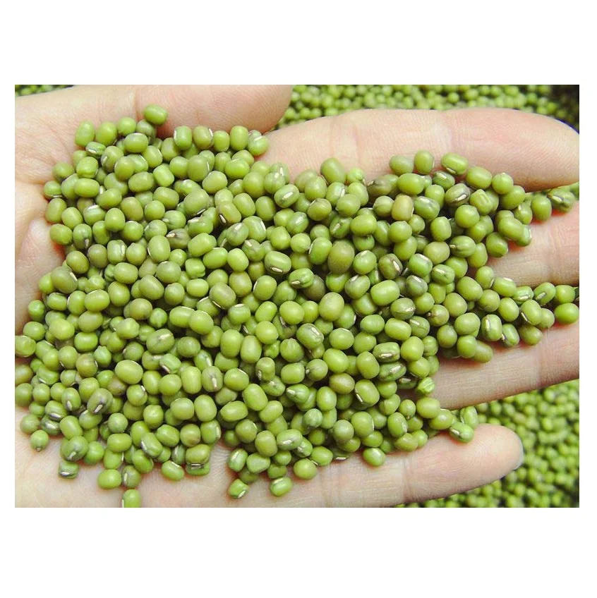 High Quality Green Mung Beans / Whole Moong Beans Available For Sale At Low Price