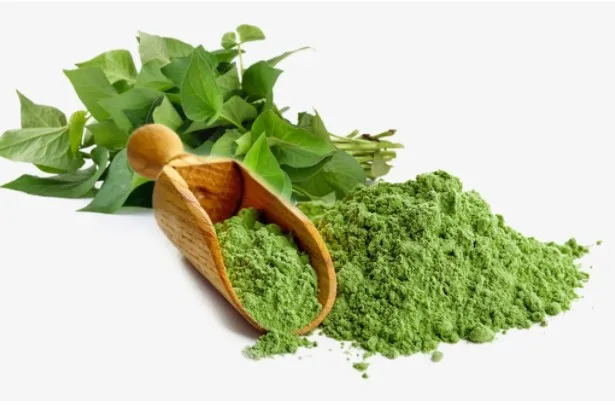 Natural Plant Extract Rich Vitamins Dissolves Quickly In Water Freeze-drying Technology Centella Asiatica Powder Vietnam