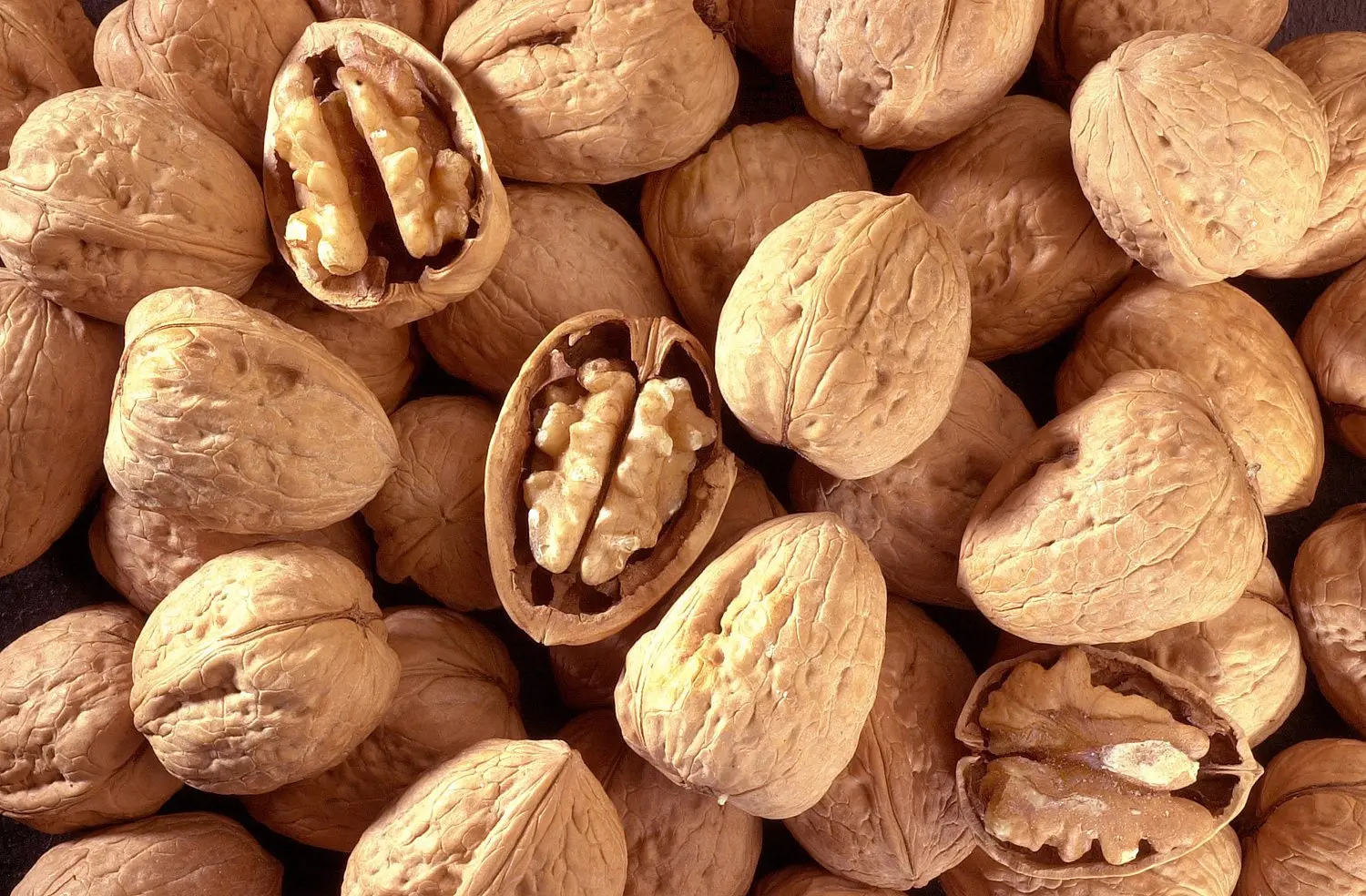 Highest Grade Organic Raw Walnuts with Shell Walnut Kernels Natural Healthy High Quality Dried Bulk Supply