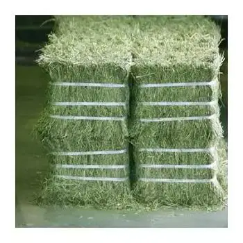 Quality Organic Alfalfa Grass Hay/ Alfalfa Hay Pellets For Animal Feed For Sale