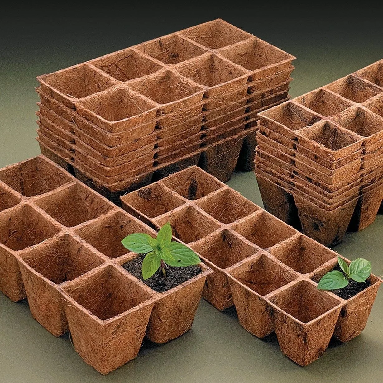 Agricultural seed starting tray gardening farming seeds sprouting trays bio coconut husk fiber seedling nursery plant planter
