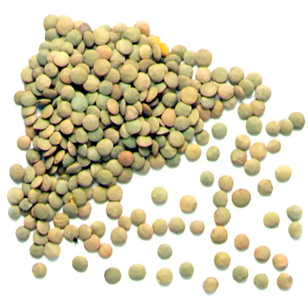 Green Lentils.jpg