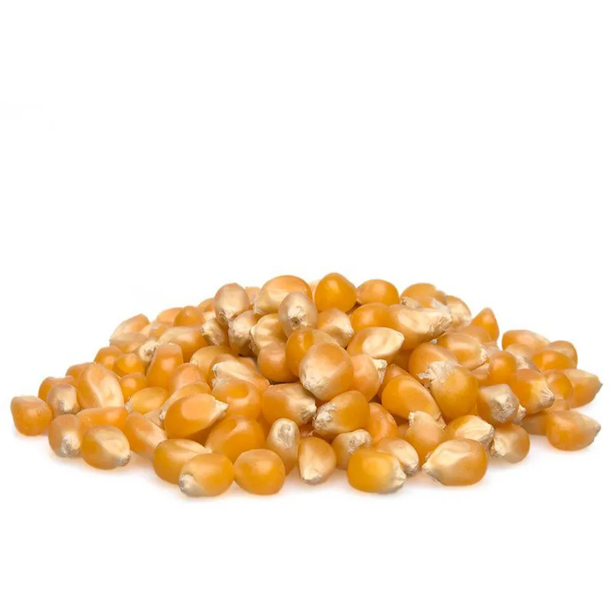 Замороженные Сладкие желтые кукурузные ядра большого объема IQF, верхняя стильная упаковка для хранения, зрелые продукты, цвет, вес на полке, оригинальный тип, натуральный класс