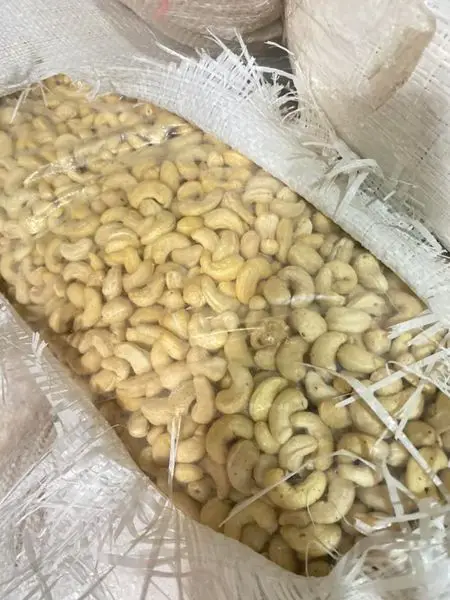 Best Selection High Quality 100% Organic Cashew Kernels ww320  Vietnam is ready to ship