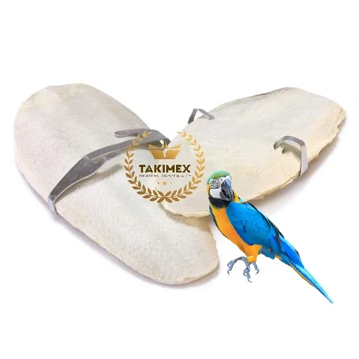 Flavor big size colored cuttlefish bone trimmed Dry pet food cuttle fish bone 15cm up 10 kgs bag carton 5 layers pa