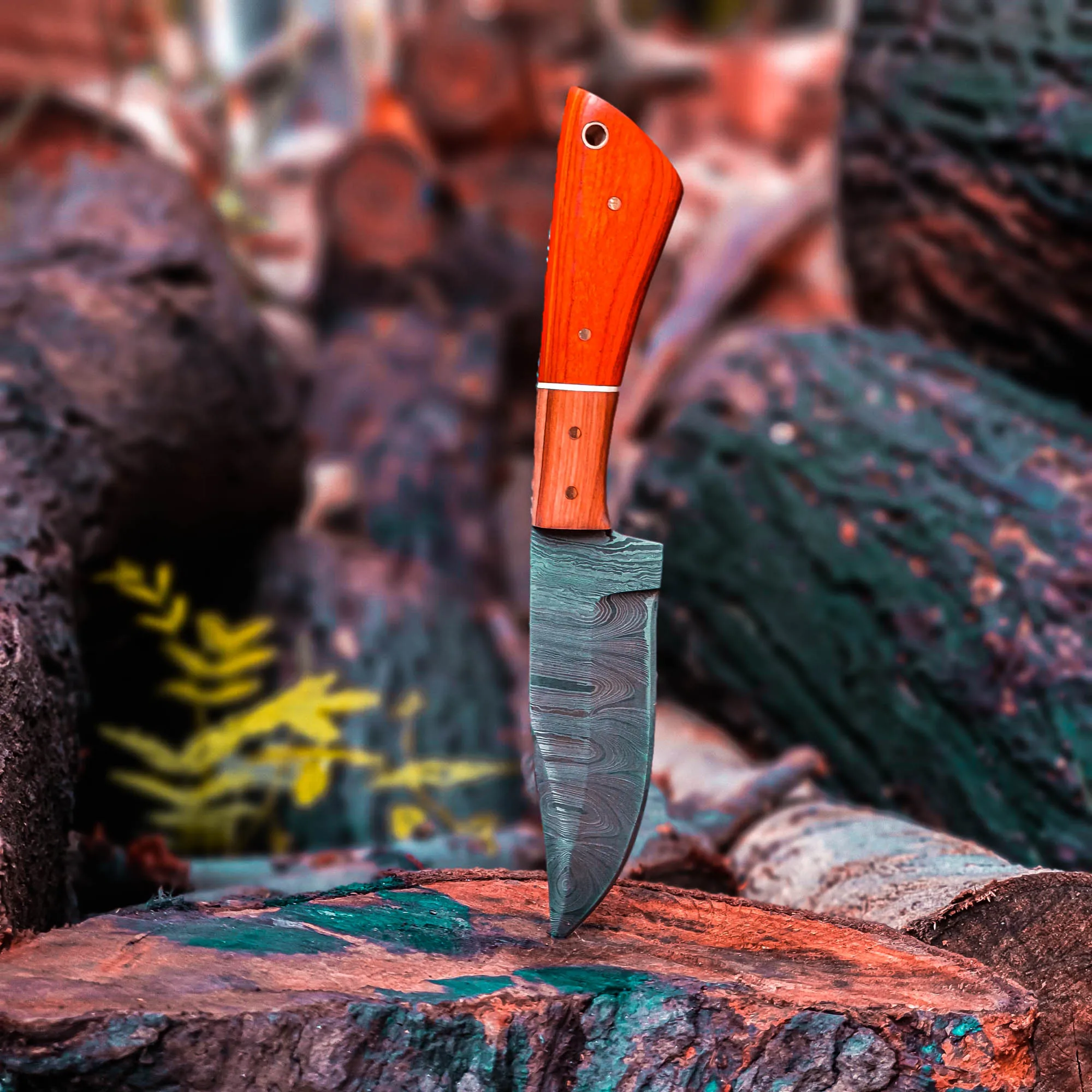 Hot Selling New Arrival Full Tang Damascus Knife with Steel Blade and Wood Handle for Outdoor Survival Hunting Industrial Use