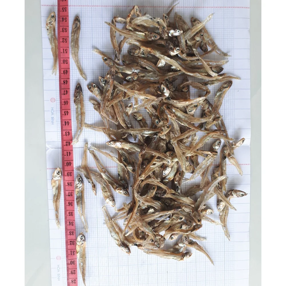 Dried Anchovy Fish Dried Anchovies Packaging Organic Different Size Weight Customizable For Export In Bulk