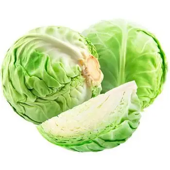 Organic Green Cabbage For Sale In EU (1600591057247)