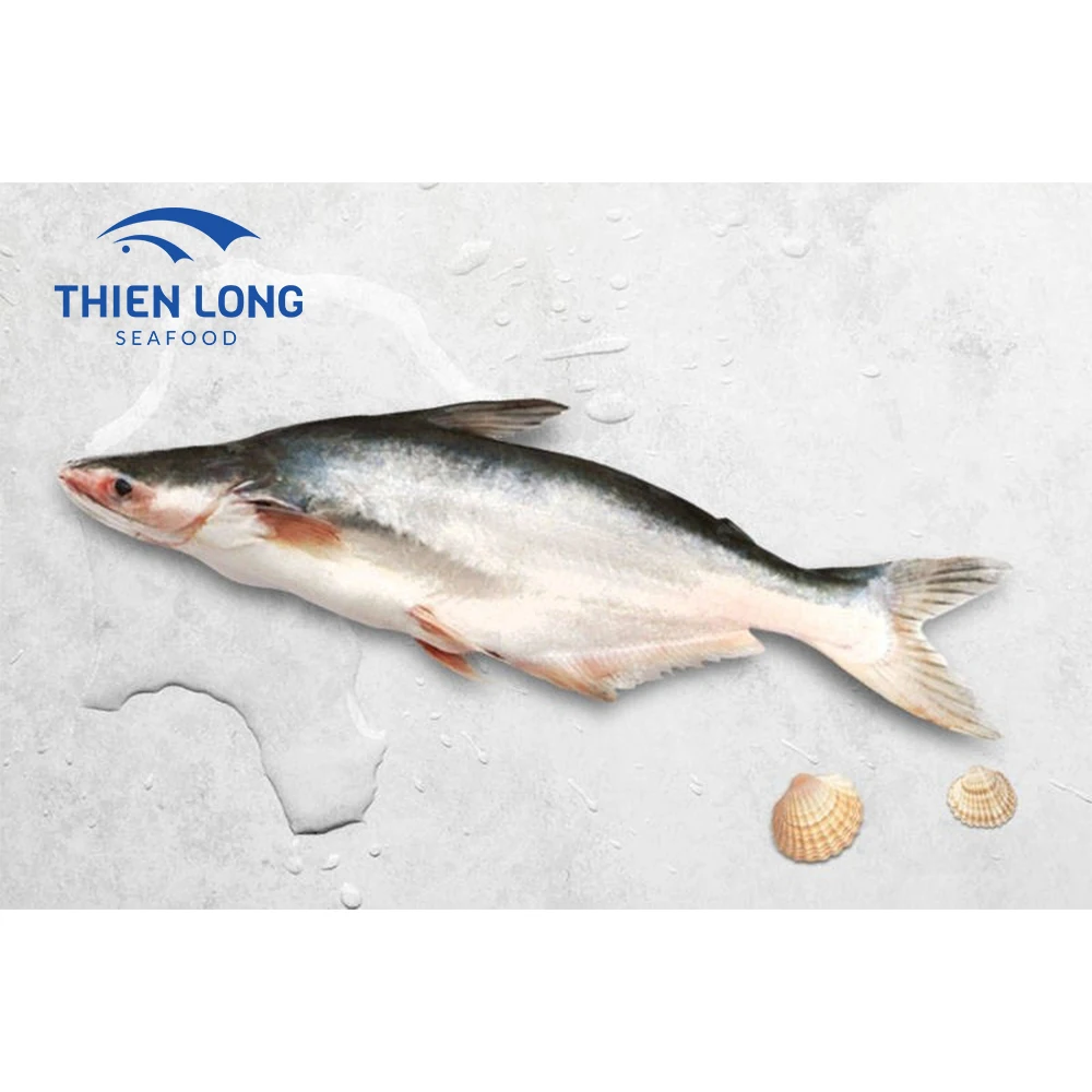 Wholesale Best Price 100% Frozen Pangasius Fish from Vietnam
