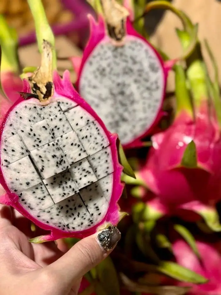 Hot Deal Cheap Price Natural Sweet Red and White Fresh Dragon Fruit Competitive Price Ready Export - ANNA DO WA+84982153058