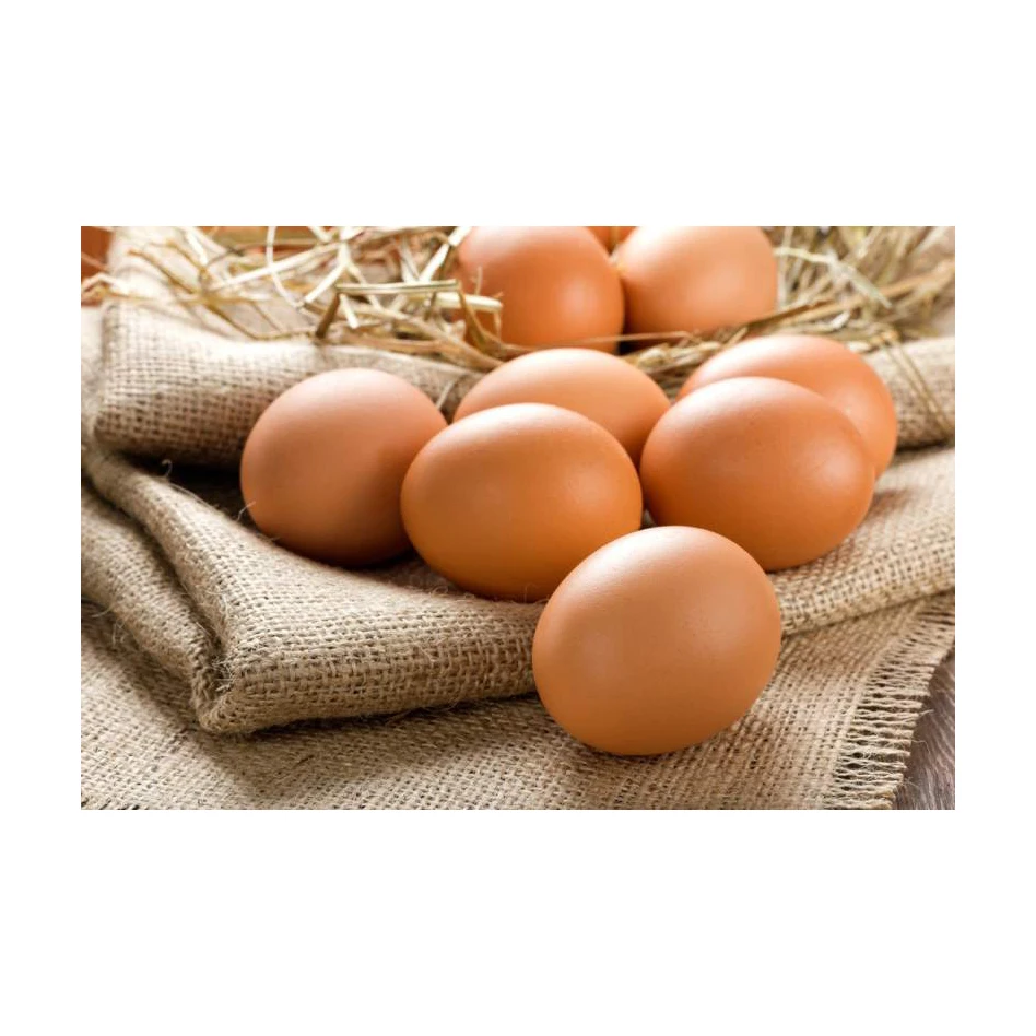 Wholesale Supplier Best Quality Fresh Brown Chicken Eggs For Sale In Cheap Price Brown Chicken Egg