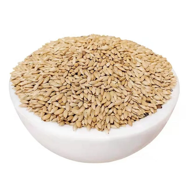 Premium Quality Wholesale Canary Seeds Organic Animal Feed Ready For Export