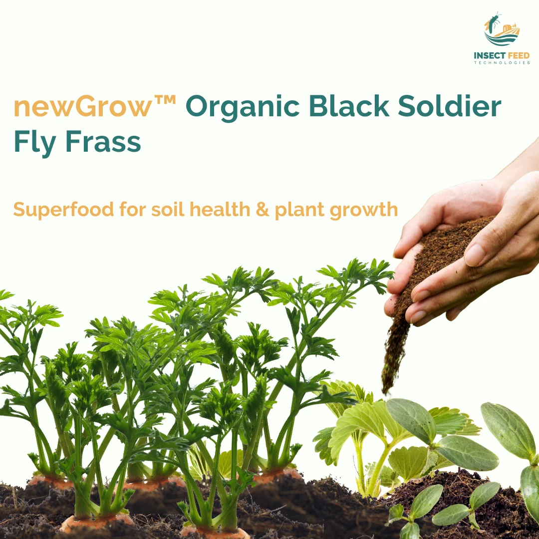 Suitable All Soil  Various Application Wholesale Agriculture Fertilizer Black Soldier Fly Sustainable Organic Fertilizer (Frass)