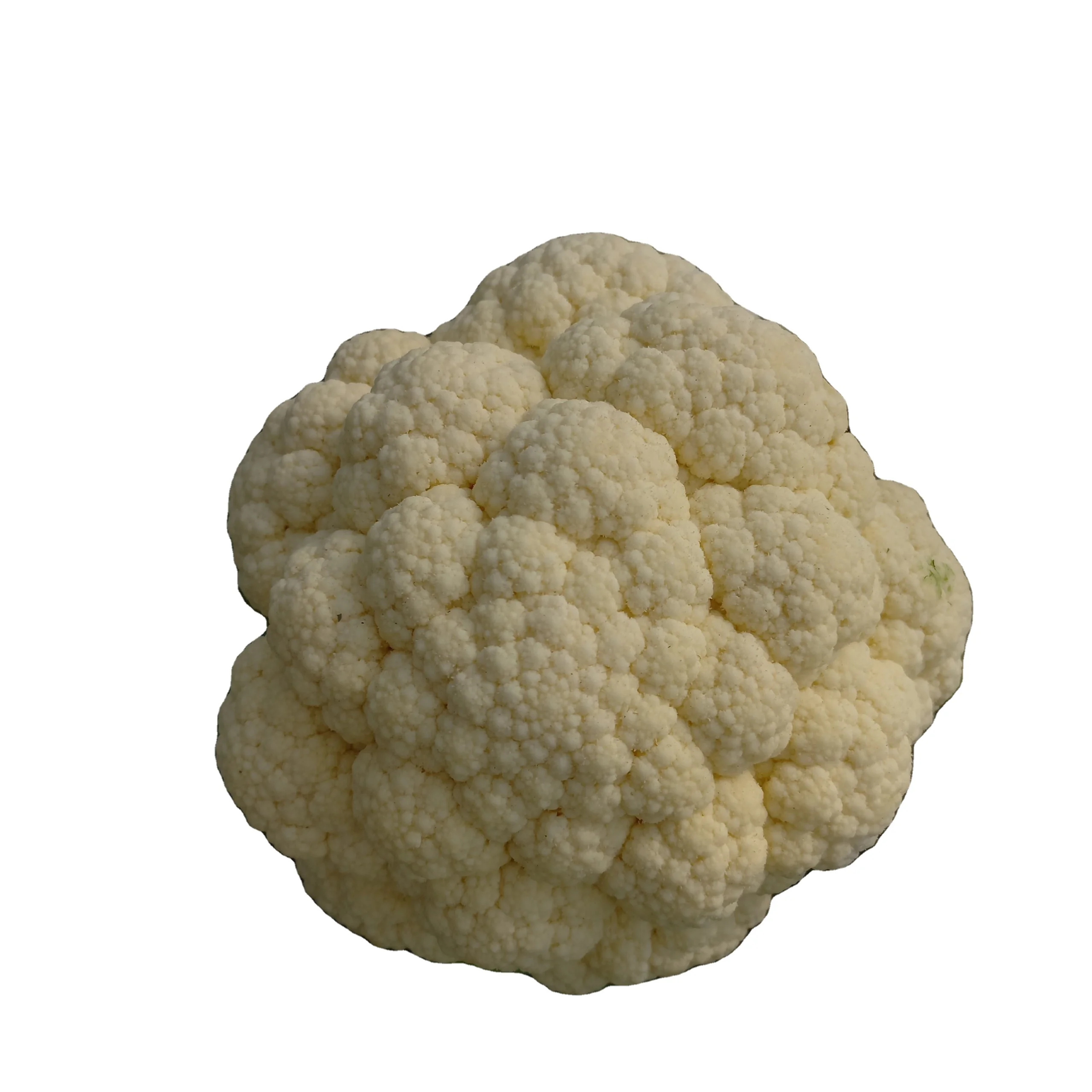 Premium Cauliflower Florets for Export from Vietnam with Skillfully Selected, Painstakingly Packed