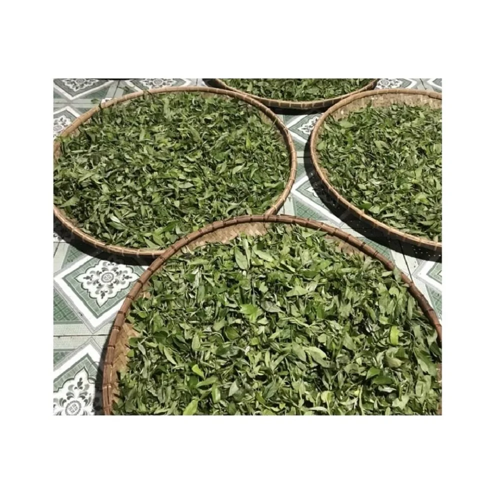 20Kg Bulk Packaging OEM Health Tea Drinks Premium Organic ASSAM Stir-Fried Black Tea From 100% Fresh Ingredients