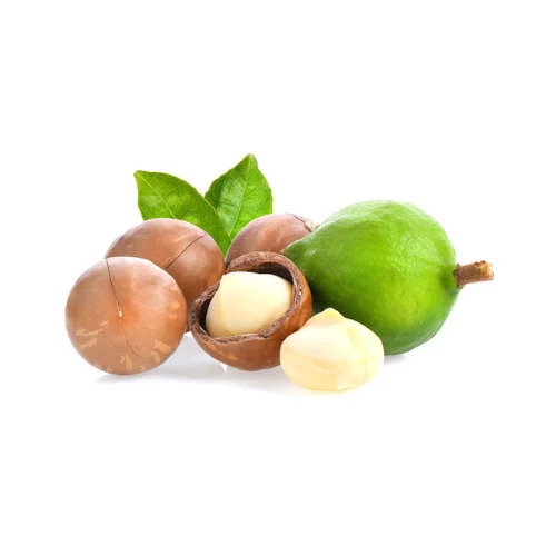 High-Quality Macadamia Nuts In Bulk Order Macadamia Nuts For Wholesale Perfect For Food Industry Applications