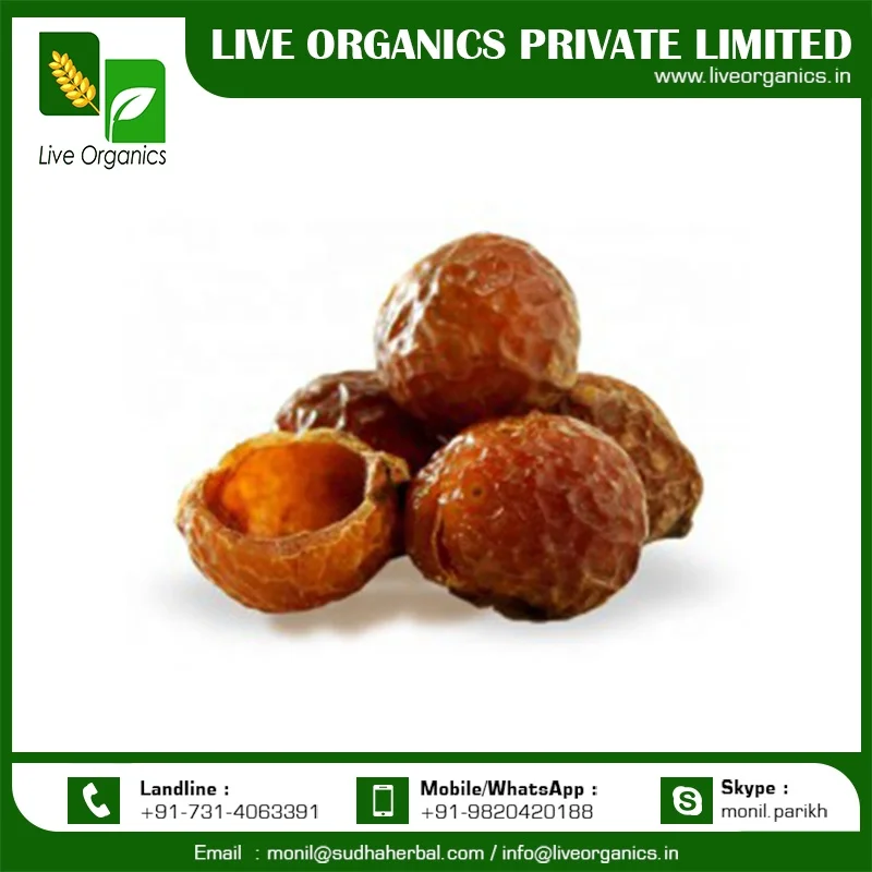 Ракушки для мыльных орехов-ракушки для натурального мыла-ракушки для мыльных орехов полностью сломанные-этнически полученные-выращенные в Индии