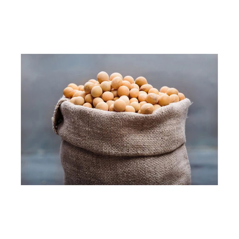Wholesale Yellow Grade 1 Non-GMO Soya/Soja/Soybeans Organic Soybeans
