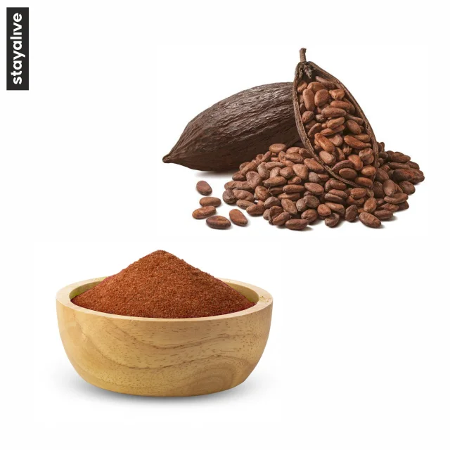 High Quality Pure Cocoa Bean Extract |  Superfood | Antioxidant | Gluten free | Vegan | Cocoa Bean Powder