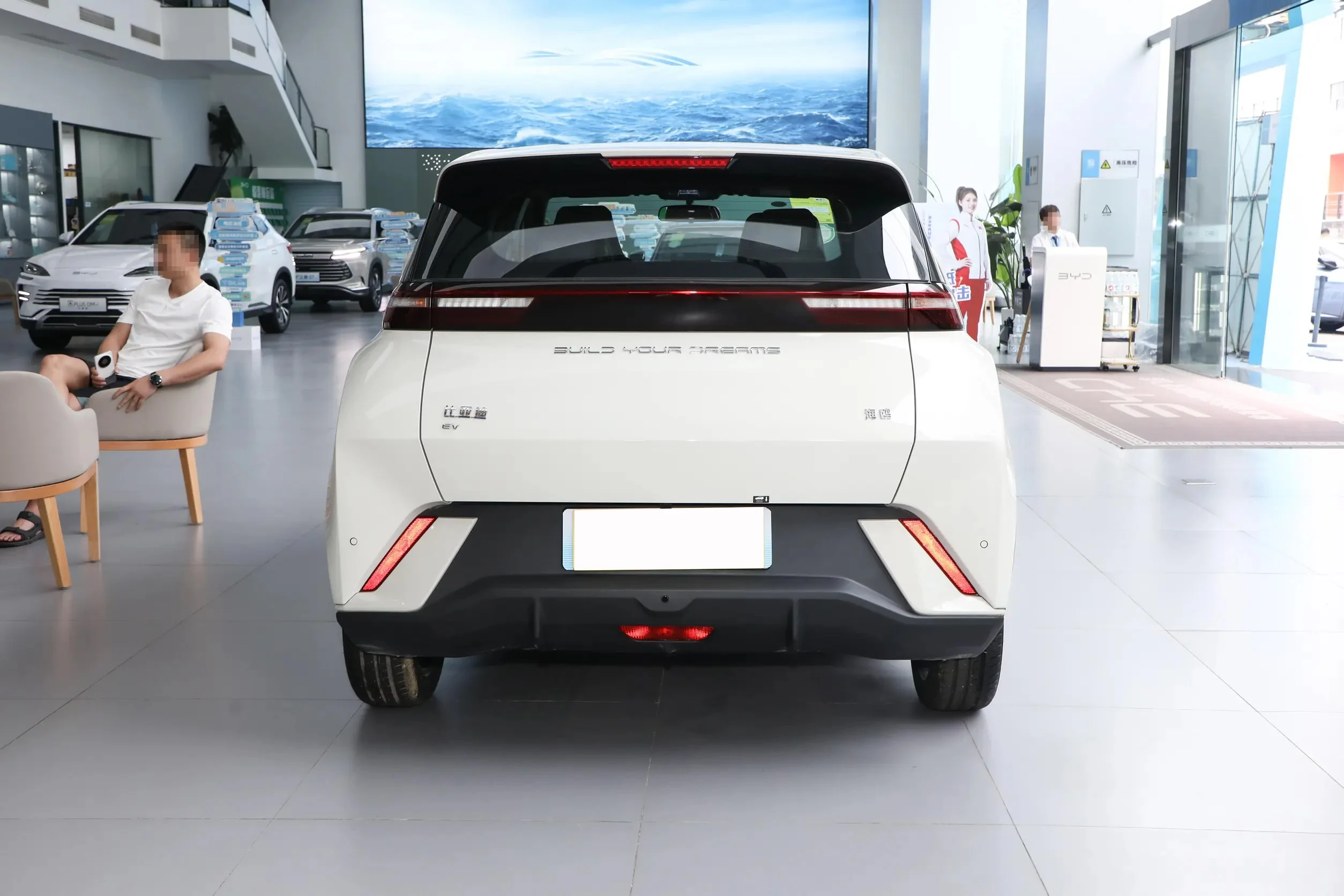 Byd Чайка 2025 405 км 305 дальность действия Новый энергетический автомобиль чистый электромобиль