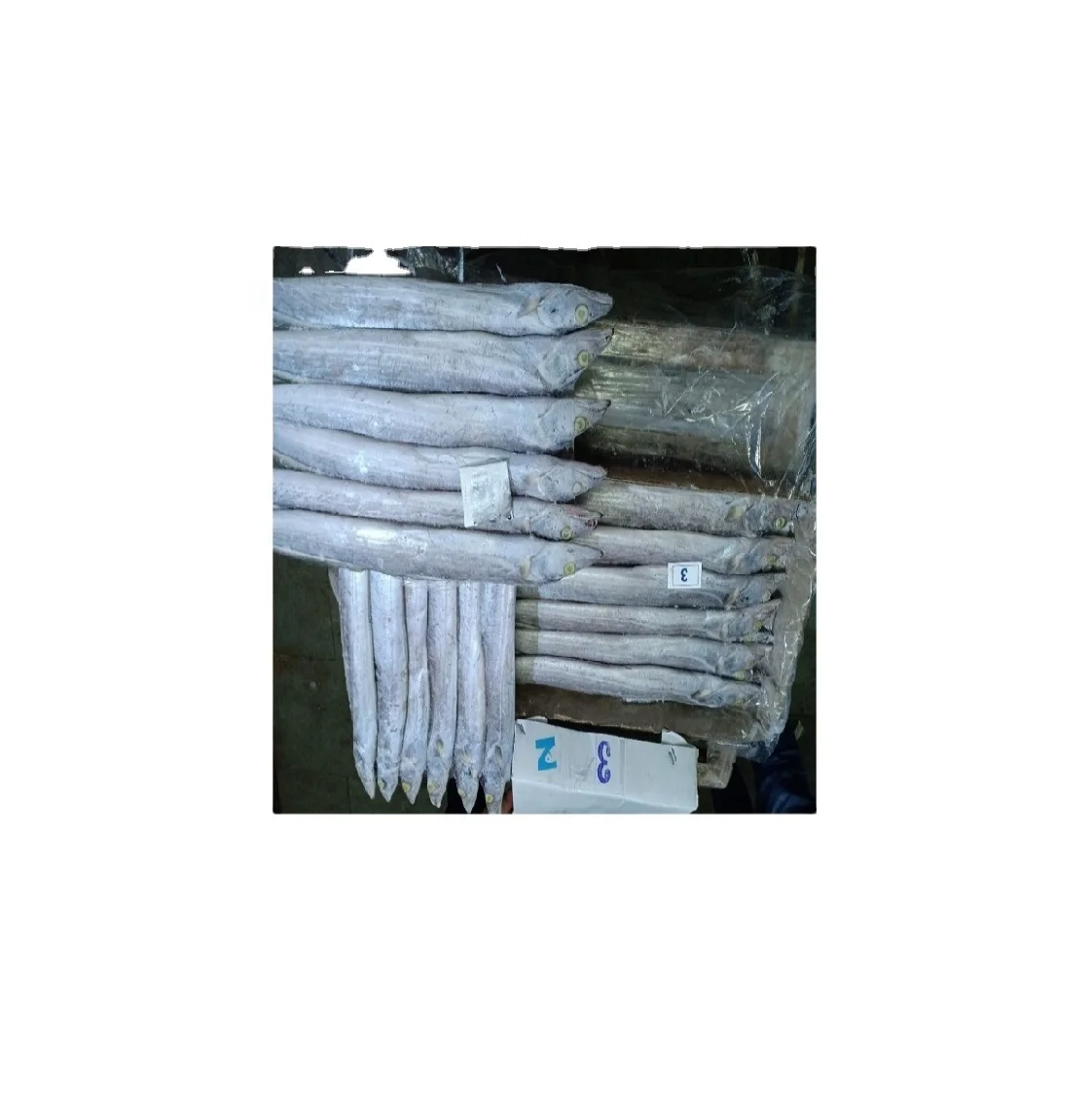 frozen ribbon fish high quality Package Weight Lbs Shelf all natural for human consumption no salt frozen ribbon fish