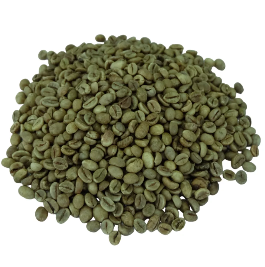 Vietnam Robusta Green Coffee Beans-высококачественный КОФЕ хорошая цена от Loc Nam импортная экспортная компания