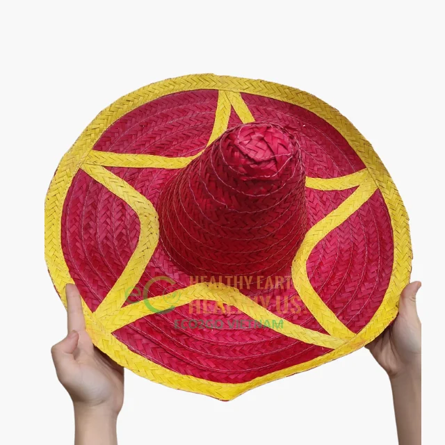 Wholesale Natural beach hats for women summer straw/straw hat for women/ Women straw hat Cheapest Price By Eco2go Vietnam