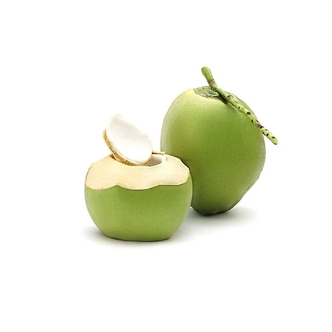 In Stock High Quality Young Coconut Top quality Diamond Cut Green Fresh Coconut for Importer Prestigious Manufacture