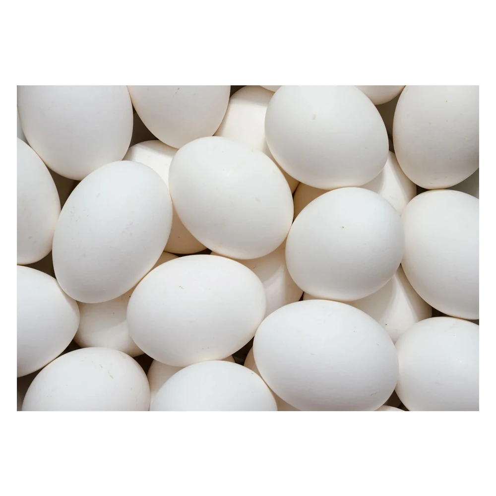 Свежие куриные яйца на ферме, белые куриные яйца в Ракушке, оптовая продажа, 100% органические белые яйца, Прямая поставка с завода, белые