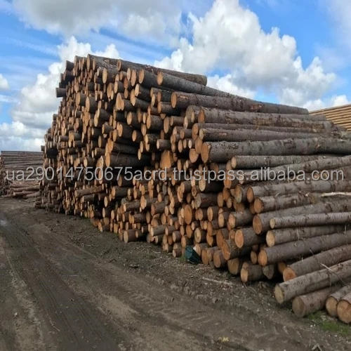Pine Spruce Saw Logs.jpeg
