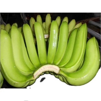 2022 Made In India 100% Natural FRESH TROPICAL BANANA from Kinal Global Care for Food & Beverage