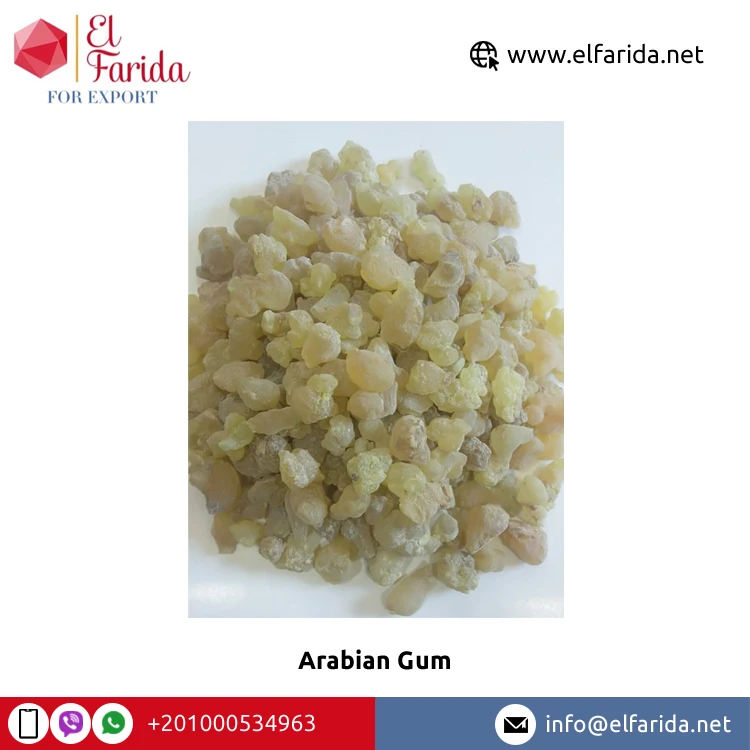 Egypt Origin Wholesaler Selling Best Quality Confectionery White Or Yellow Arabian Gum for Sale at Reliable Market Price