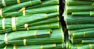 Vietnam Banana Leaves - Organic, Fresh, and Sterilized - High Quality and Affordable Wholesale