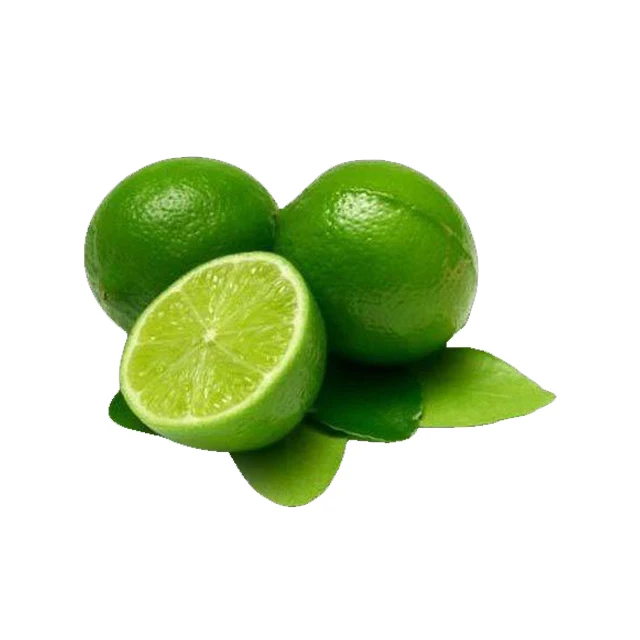 SEEDLESS LIME FRESH NATURAL JUICY CITRUS PREMIUM QUALITY PRODUCED IN VIETNAM COMPETITIVE PRICE