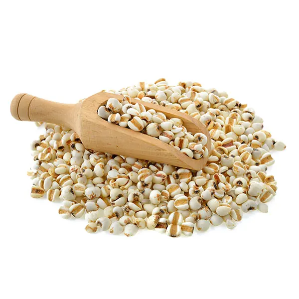 Premium grade Green Millet animal feed Sortex cleaned best use for animal feed protein 9% Export quality