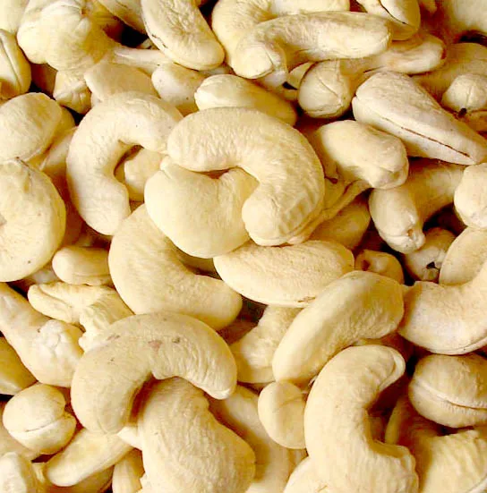 USDA/EU ORGANIC WHOLE WHITE CASHEW NUT KERNELS OW240 HIGH QUALITY LOW PRICE NEW CROP BRC FACTORY HANFIMEX 0084374074818