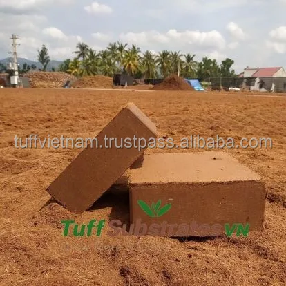 Whosale coco pith coir block compress 5kg for Garden greenhouse outdoor and indoor decoration For Nursery And Planting From Viet