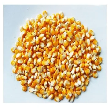 High Quality Bulk Dried Corn Sweet Corn Sweet Wholesale Price Dried Yellow Corn For Sale